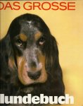 Tylinek, Erich (Bild) & Peter Teichmann (Text) & Bethge, Klaus (Zeichnungen) & Volker Küster (Gestaltung) - Das grosse Hundebuch