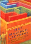 Ian Stewart 20693 - Het magisch labyrint De wereld bezien door wiskundige ogen