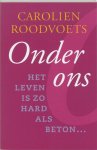 [{:name=>'C. Roodvoets', :role=>'A01'}] - Onder Ons