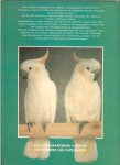 Low, Rosemary. Hoofdsamensteller Lesley Joung  Nederlandse vertaling Ben Beekman en adviezen van Ed Scholts - Papegaaien  Een complete gids over alle papegaaiachtigen