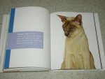 Vasan, Gandee - Cat Capers - Catitude for Cat Lovers