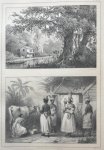 Benoit, Pierre Jacques - Voyage a Surinam. Description des possessions neerlandaises dans la Guyane