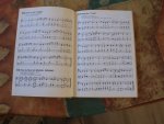  - Opwekkingsliederen 1-210 harde kaft