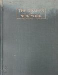 U. P. Hedrick , Nathaniel Ogden Booth 231320 - The Grapes of New York
