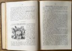 Fiet, A. - Geïllustreerd Tuinboek, tweede, veel vermeerderde druk