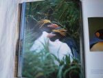 Lanting, Frans, Christine Eckstrom - Oog in oog