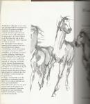 Wouter Slob Illustraties Veronica van Vliet  en typografie  en omslag Frits Stoepman  GVN - Man en Paard  Een boek over rijkunst en ruitersport