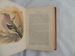 Wallace R L - British Cage Birds : containing full directions for successfully breeding, rearing, and managing the various British birds that can be kept in confinement : illustrated with coloured plates and numberous finely cut Wood Engravings.