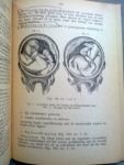 Alberts, Dr J.E. - Het ontstaan, de ontwikkeling en de geboorte van de mens