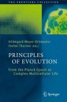 Hildegard Meyer-Ortmanns - Principles of Evolution