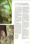 Honders, J .. Zuidermeer met medewerking van T. Klerks - Tropische regenwouden Uit de serie Dieren in het wild, Tijger, Gorrila, Orang-oetang, Chimpansee, Jagoear, Papegaaien, Neushoornvogels, Luiaard