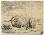 DUJARDIN, KAREL (1622-1678), - Resting sheep