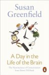 Susan Greenfield - A Day in the Life of the Brain