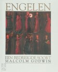 Malcolm Godwin - Engelen Een bedreigde soort