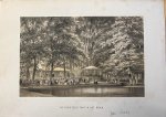 Trap, P.W.M after C. Bos en G.J. Bos. - [Antique print, lithography, 19th century] De Societeits-tent in het Bosch, published 19th century, 1 p.