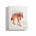 John O’Reilly - Illusive 4