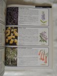 Hessayon, D G - Het complete vijverboek vijver boek (De gids voor tuinvijvers en rotstuinen)