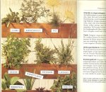 Goock Roland  Nederlandse vertaling Mieneke Bruins Slot   en Tekeningen van  Betty Kothe-Marxmeier - Kruiden en speceryen van a tot z