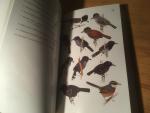 Clements, James F & Noam Shany - A Field Guide to the Birds of Peru