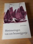 Hartog, Jan de - Herinneringen van een bramzijgertje