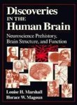 Horace Winchell Magoun 220195, Louise H. Marshall - Discoveries in the Human Brain Neuroscience Prehistory, Brain Structure, and Function