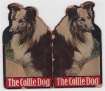 Vera Friedman - The collie dog book.