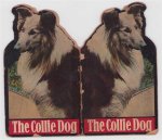 Vera Friedman - The collie dog book.
