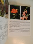 Herwig, Rob - 201 Tuinplanten in kleur. Met beschrijvingen en tips voor plaatsing