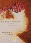 R.B. Haas - Door de ogen van de condor R.B. Haas - Door de ogen van de condor