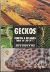 Walls, Jerry G. & Maleta M. Walls - Geckos. Keeping And Breeding Them In Capitivity