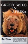 Grosfeld, Frans - Groot wild in Afrika. Walt Disney. Dit is een Disney- dierenboek. Twee handen vól wonderlijke bijzonderheden over groot wild in Afrika. Met prachtige kleurenfoto`s