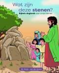 Drost - Drost-van der Kroon, M.-Wat zijn deze stenen? (nieuw)