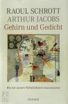 Raoul Schrott, Arthur M. Jacobs - Gehirn und Gedicht Wie wir unsere Wirklichkeieten konstruieren