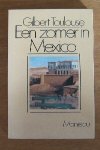 Toulouse Gilbert - Een zomer in Mexico