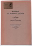 Bucher, Hans, Widerkehr-Scherb, Louis Pierre - Morphologie und Struktur von Holzfasern