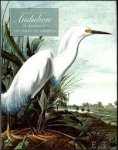 Blaugrund, Annette - John James Audubon: The Watercolors for the Birds of America