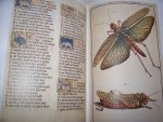 Breugelmans, R. (eindred.) - Goed Gezien Tien eeuwen wetenschap in handschrift en druk