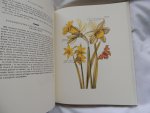 Ollefers, A.J. - Herbarius & Nederlandsch bloemwerk door een gezelschap geleerden. Beroemde geïllustreerde plantenboeken.
