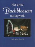 Winfried Povel - Het grote Bachbloesem naslagwerk