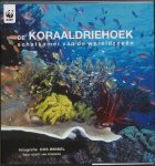 Roebers, Geert-Jan (tekst), Winkel, Dos (fotografie) - De koraaldriehoek / schatkamer van de wereldzeeën