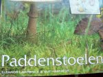 Eleanor Lawrence & Sue Harniess - "Paddenstoelen"