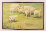 Lucado, Max - The Crippled Lamb (3 foto's)