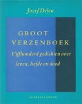 medere - Groot verzenboek / druk 1