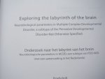 Lahuis, B. - Exploring the labyrinth of the brain