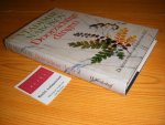 Nabokov, Vladimir - Doorzichtige dingen