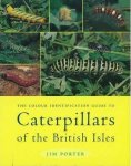 Porter, Jim - Colour Identification Guide to Caterpillars of the British Isles [Macrolepidoptera].