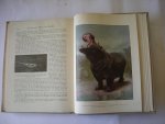 Cornish, Charles J., inl. / Ankersmit, W.J. bew. - De levende dieren der wereld. Deel I: zoogdieren en deel II: vogels/kruipende dieren en amphibieen, visschen, gelede dieren, weekdieren