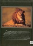 Denis-Huot Christine en Michel .. Met prachtige kleuren foto's  een boek om uren in tegrasduinen - De leeuw: koning van de savanne