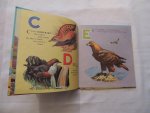Margaret Barr - illustrated by J.B. Long. Verses by Margaret Barr. - My A.B.C. picture book of birds
