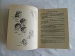 Cottrell K - Sunburnt Sketches of Africa, South, East and West. in Pencil Paint and Prose